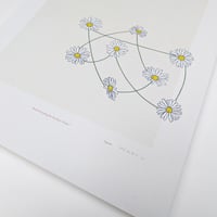 Image 3 of "Break Everything but the Daisy Chains" Print