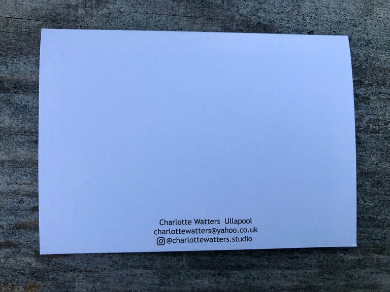 Tin Shed, Argyle Street  Image 3