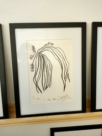 Image 1 of Original Artwork: Charcoal Spider Plant 