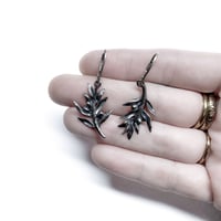 Image 2 of Small Olive Branch earrings in oxidized sterling silver (GAZA FUNDRAISER)