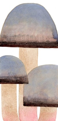 Image 1 of palestine peace mushroom 1 