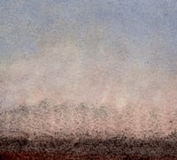 Image 3 of palestine peace mushroom 1 