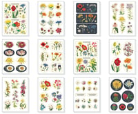 Image 2 of Cavallini & Co. Wildflowers Vintage Style Sticker Set, Assorted 