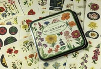 Image 3 of Cavallini & Co. Wildflowers Vintage Style Sticker Set, Assorted 