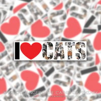 I Heart Cats Rectangle Sticker
