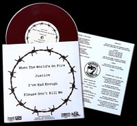 Image 3 of BRIGATA VENDETTA 'When The World's On Fire' 7" EP