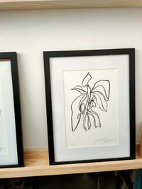 Original Artwork: Botanical Study no.3