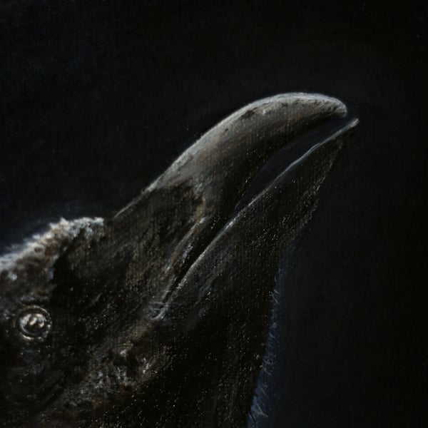Image of ORIGINAL - Corvus