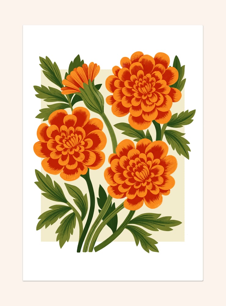Image of Marigolds
