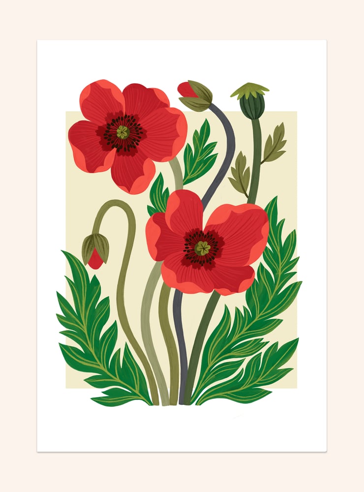 Image of Poppies