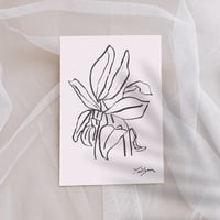 Botanical Mini Print 