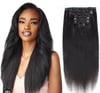 1b clip in extensions