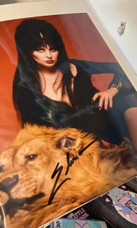 Image 3 of Original Sketch Cover Bundle - Elvira