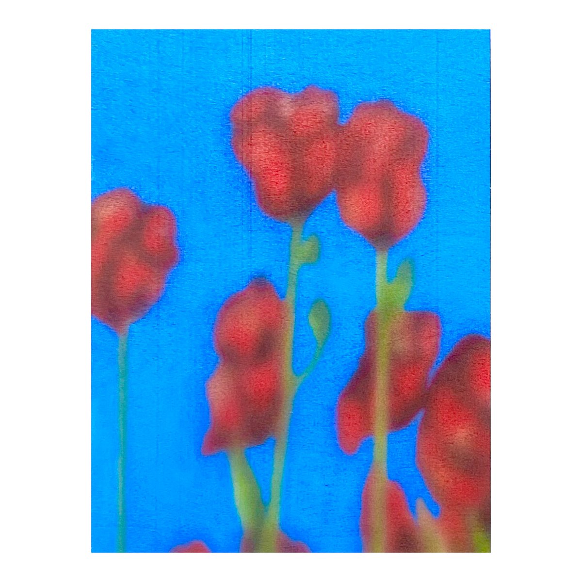 Image of Poppies
