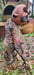 Image of FFFaun #2