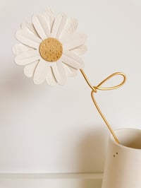 Image 4 of La marguerite - fleur à la tige