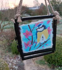 Image 4 of Blue tit on cherry blossom ~ original framed  painting