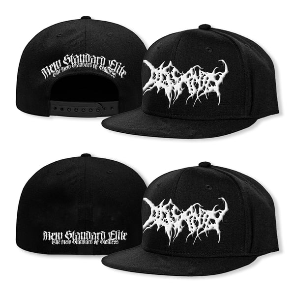 Image of DISSANITY LOGO HAT *PRE-ORDER*