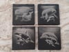 Sea animal - mother and baby square slate coaster