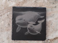 Image 5 of Sea animal - mother and baby square slate coaster