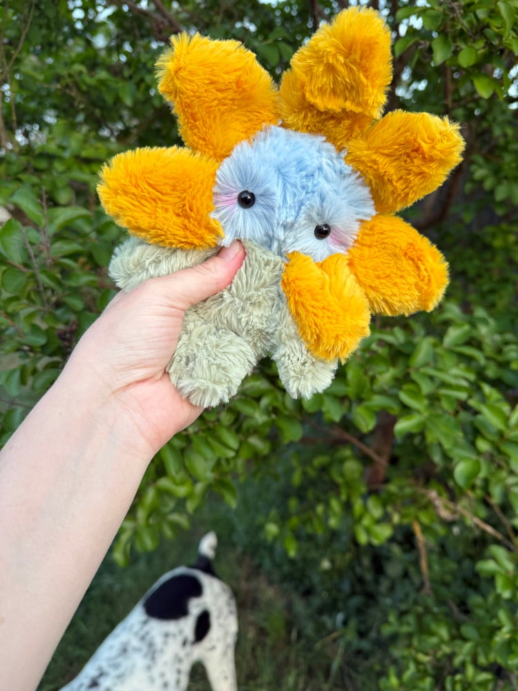 Image of Little flower