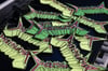 Fullminator Patches