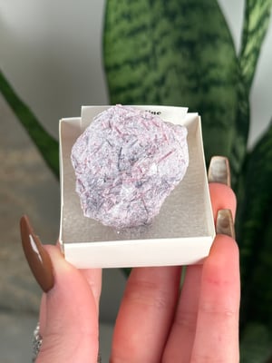 PINK TOURMALINE IN SHIMMERY LEPIDOLITE -STEWART MINE CALIFORNIA-