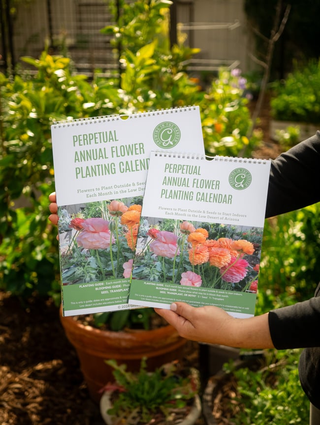 Perpetual Annual Flower Planting Calendar Growing in the Garden