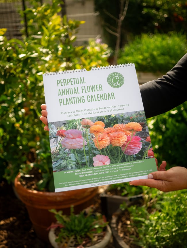 Perpetual Annual Flower Planting Calendar Growing in the Garden