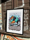 Mesh & Laces collab print