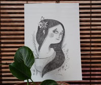 Flora