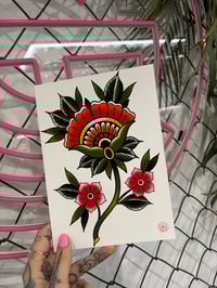 FAN FLOWER