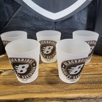 Blackbridge Shot Glasses