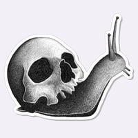 Image 1 of Skull Snail | Sticker