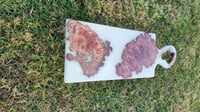 Image 5 of Brown mallee burl no096