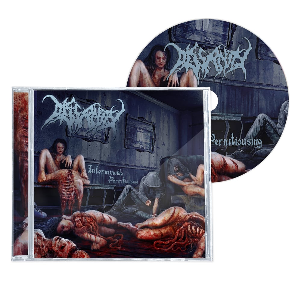 Image of DISSANITY "INTERMINABLE PERNITIOUSING" CD 