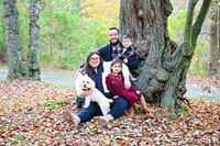 Image 2 of Fall Mini Sessions 2024