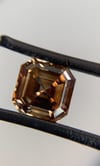 DEPOSIT - 1.55 Fancy Deep Brown Asscher + Trillion Earrings