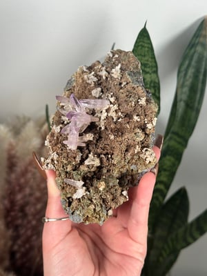 VERA CRUZ AMETHYST SPECIMEN A