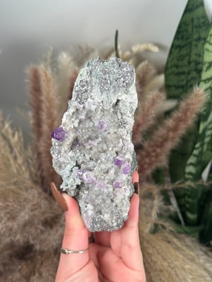 VERA CRUZ AMETHYST SPECIMEN F