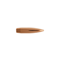6mm 108gr BT Target (500)