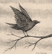 'A bird for life' Vinyl Sticker