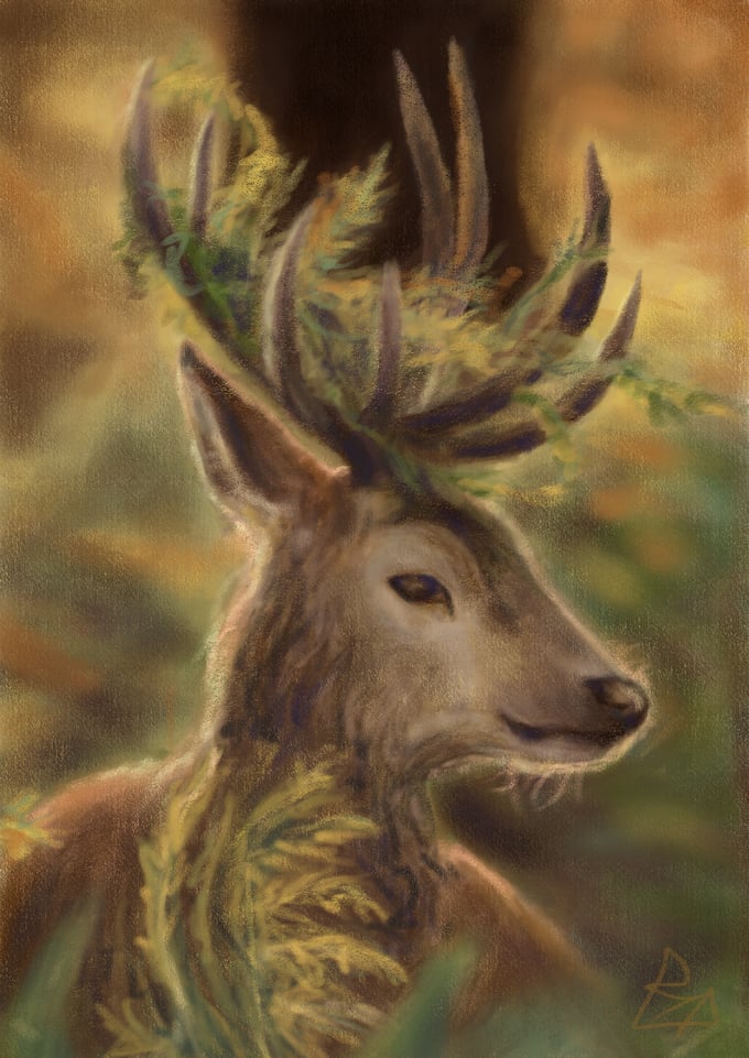 Image of deer