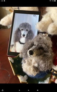 Image 2 of On Sale-Poodle Ornament( any color)