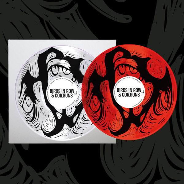 Image of Birds In Row & Coliguns  - "You and I In The Gap" LP (DIY PICTURE DISC) Clear