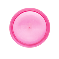 Image 2 of Discraft Undertaker Paige Pierce 5X World Champ.  pink