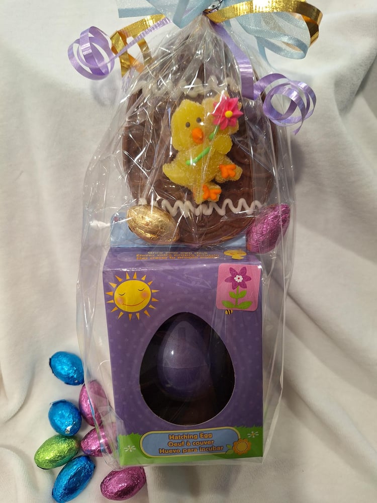Image of Easter grow egg with chocolate treat