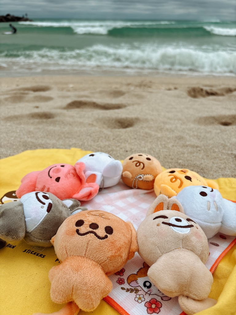 Skzooo 10cm Plushies | Camilicy