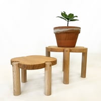 Image 5 of Clover Plant Stand
