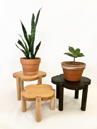 Image 1 of Clover Plant Stand